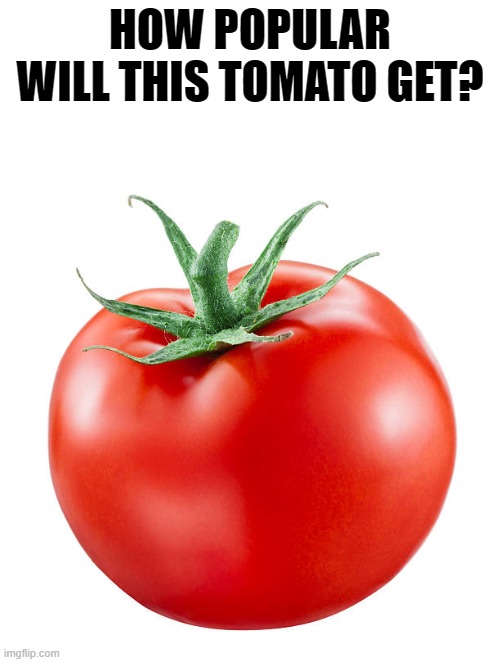 Let's try to make this the most popular tomato ever! | image tagged in tomato,memes,funny,random | made w/ Imgflip meme maker