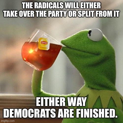 But That's None Of My Business Meme | THE RADICALS WILL EITHER TAKE OVER THE PARTY OR SPLIT FROM IT EITHER WAY DEMOCRATS ARE FINISHED. | image tagged in memes,but that's none of my business,kermit the frog | made w/ Imgflip meme maker