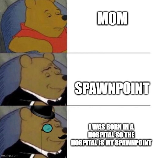 Tuxedo Winnie the Pooh (3 panel) | MOM; SPAWNPOINT; I WAS BORN IN A HOSPITAL SO THE HOSPITAL IS MY SPAWNPOINT | image tagged in tuxedo winnie the pooh 3 panel | made w/ Imgflip meme maker