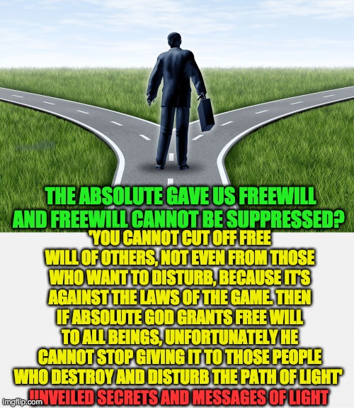 'YOU CANNOT CUT OFF FREE WILL OF OTHERS, NOT EVEN FROM THOSE WHO WANT TO DISTURB, BECAUSE IT'S AGAINST THE LAWS OF THE GAME. THEN IF ABSOLUTE GOD GRANTS FREE WILL TO ALL BEINGS, UNFORTUNATELY HE CANNOT STOP GIVING IT TO THOSE PEOPLE WHO DESTROY AND DISTURB THE PATH OF LIGHT'; THE ABSOLUTE GAVE US FREEWILL AND FREEWILL CANNOT BE SUPPRESSED? UNVEILED SECRETS AND MESSAGES OF LIGHT | image tagged in freewill | made w/ Imgflip meme maker