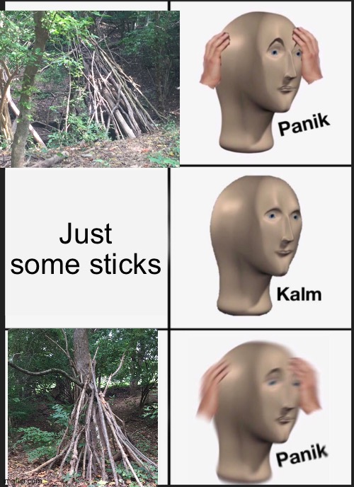 This showed up in the woods behind where I work | Just some sticks | image tagged in memes,panik kalm panik,creepy | made w/ Imgflip meme maker