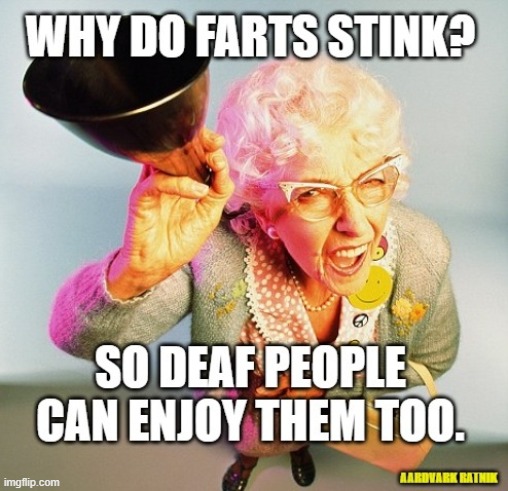 Granny Farts | image tagged in funny memes,farts,deaf,angry old woman,smelly | made w/ Imgflip meme maker
