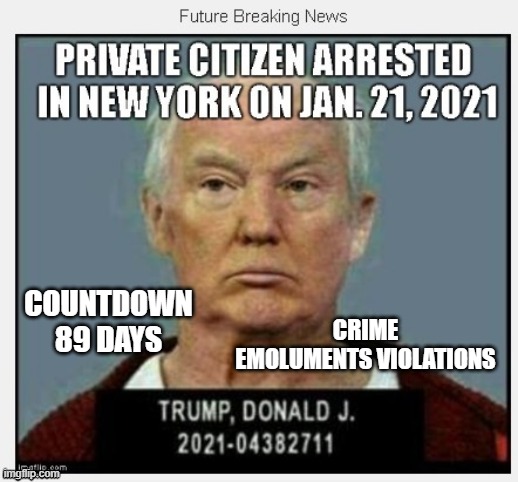 89 Days Until January 21, 2021 - COUNTDOWN In Progress - 100 Days listing 100 Trump Crimes | CRIME
EMOLUMENTS VIOLATIONS; COUNTDOWN
89 DAYS | image tagged in countdown,criminal,lair,conman,bankrupt,grifter | made w/ Imgflip meme maker