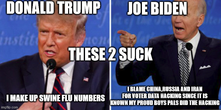 2020 senile presidential candidates | DONALD TRUMP; JOE BIDEN; THESE 2 SUCK; I MAKE UP SWINE FLU NUMBERS; I BLAME CHINA,RUSSIA AND IRAN FOR VOTER DATA HACKING SINCE IT IS KNOWN MY PROUD BOYS PALS DID THE HACKING | image tagged in joe biden,donald trump,fairy tales,democrats,republicans,election 2020 | made w/ Imgflip meme maker