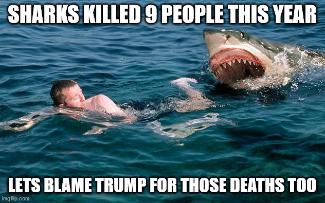 While we're at it... | SHARKS KILLED 9 PEOPLE THIS YEAR; LETS BLAME TRUMP FOR THOSE DEATHS TOO | image tagged in donald trump,election 2020,kung flu,invalid argument,your argument is invalid | made w/ Imgflip meme maker