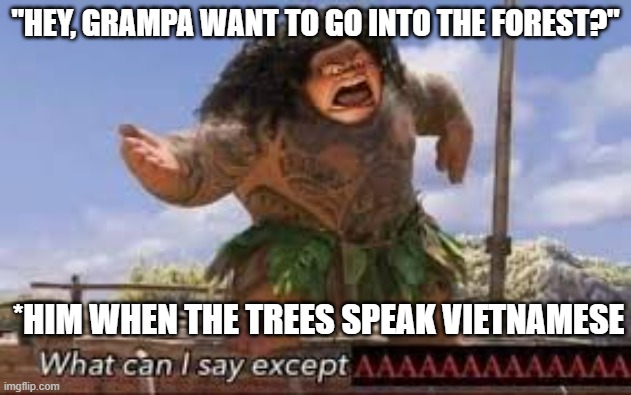 What can i say except aaaaaaaaaaa | "HEY, GRAMPA WANT TO GO INTO THE FOREST?"; *HIM WHEN THE TREES SPEAK VIETNAMESE | image tagged in what can i say except aaaaaaaaaaa | made w/ Imgflip meme maker