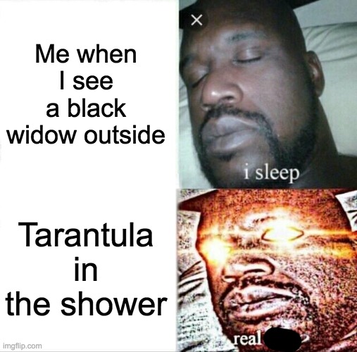 Sleeping Shaq Meme | Me when I see a black widow outside Tarantula in the shower | image tagged in memes,sleeping shaq | made w/ Imgflip meme maker