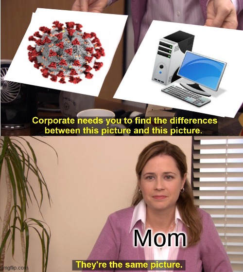They're The Same Picture Meme | Mom | image tagged in memes,they're the same picture | made w/ Imgflip meme maker