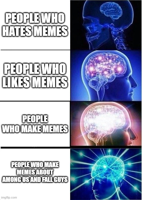 Expanding Brain Meme | PEOPLE WHO HATES MEMES; PEOPLE WHO LIKES MEMES; PEOPLE WHO MAKE MEMES; PEOPLE WHO MAKE MEMES ABOUT AMONG US AND FALL GUYS | image tagged in memes,expanding brain | made w/ Imgflip meme maker