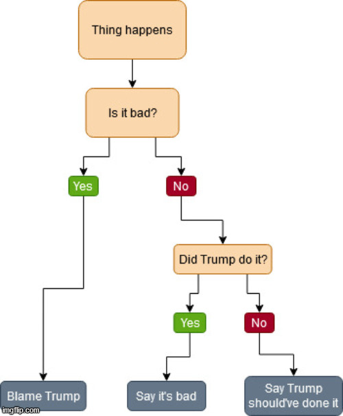 MSM decision tree | image tagged in decision tree,fake news,donald trump,election 2020,blame trump | made w/ Imgflip meme maker