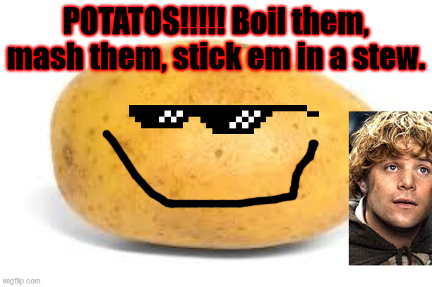 Samewise Gamgee at it again, wait wheres Frodo? | POTATOS!!!!! Boil them, mash them, stick em in a stew. | image tagged in potato,funny | made w/ Imgflip meme maker