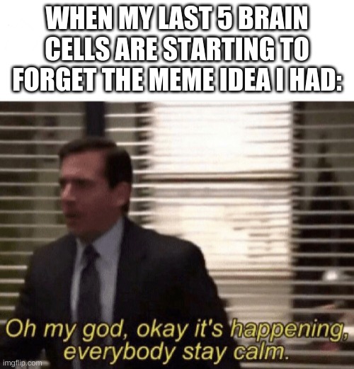 Life... | WHEN MY LAST 5 BRAIN CELLS ARE STARTING TO FORGET THE MEME IDEA I HAD: | image tagged in oh my god okay it's happening everybody stay calm | made w/ Imgflip meme maker