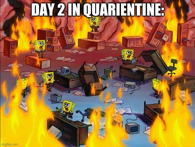 Quarantine | DAY 2 IN QUARANTINE: | image tagged in spongebob fire,covid-19,quarantine | made w/ Imgflip meme maker