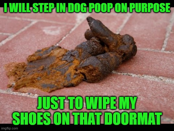 Dog Shit | I WILL STEP IN DOG POOP ON PURPOSE JUST TO WIPE MY SHOES ON THAT DOORMAT | image tagged in dog shit | made w/ Imgflip meme maker