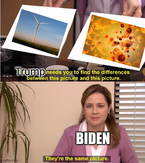 A Late Debate Meme | Trump; BIDEN | image tagged in memes,they're the same picture,funny memes,funny,joe biden,donald trump | made w/ Imgflip meme maker