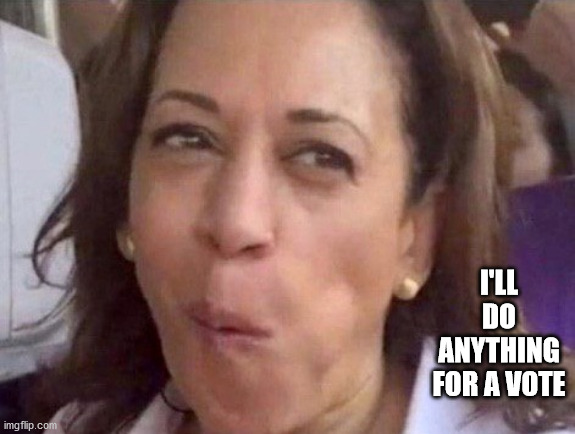 Kamala Harris | I'LL DO ANYTHING FOR A VOTE | image tagged in kamala harris | made w/ Imgflip meme maker