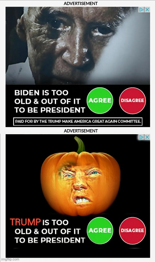 They Both Are | image tagged in biden,trump,corrupt politicians,america deserves better,2020 | made w/ Imgflip meme maker