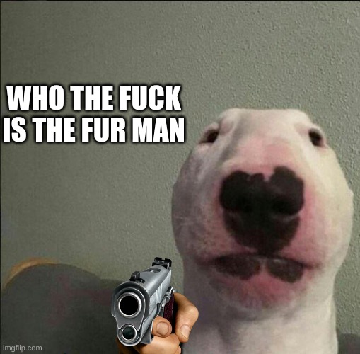 Idk idc | WHO THE FUCK IS THE FUR MAN | image tagged in idk idc | made w/ Imgflip meme maker