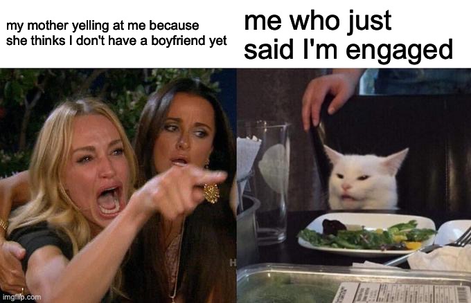 Woman Yelling At Cat | my mother yelling at me because she thinks I don't have a boyfriend yet; me who just said I'm engaged | image tagged in memes,woman yelling at cat | made w/ Imgflip meme maker