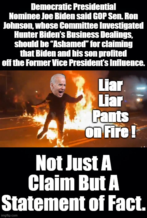 Senate Homeland Security Committee Opens Investigation Into Joe Biden and Son. | Democratic Presidential Nominee Joe Biden said GOP Sen. Ron Johnson, whose Committee Investigated Hunter Biden’s Business Dealings, should be “Ashamed” for claiming that Biden and his son profited off the Former Vice President’s Influence. Liar Liar Pants on Fire ! Not Just A Claim But A Statement of Fact. | image tagged in bidens a liar,tony bobulinski,hunter biden,james gilliar,sinohawk holdings,burisma | made w/ Imgflip meme maker
