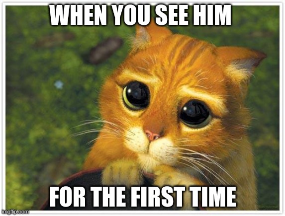 Shrek Cat | WHEN YOU SEE HIM; FOR THE FIRST TIME | image tagged in memes,shrek cat | made w/ Imgflip meme maker