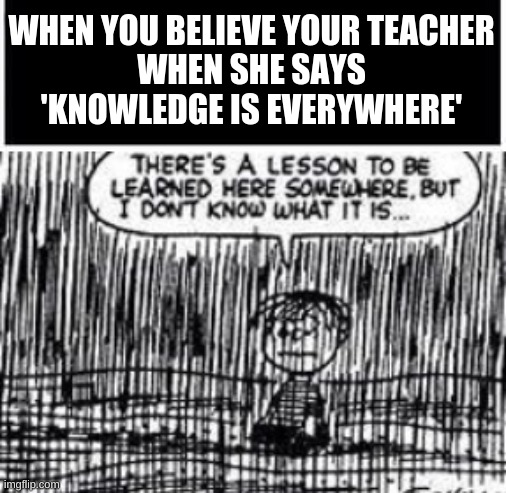 WHEN YOU BELIEVE YOUR TEACHER
WHEN SHE SAYS
'KNOWLEDGE IS EVERYWHERE' | image tagged in there's a lesson to be learned here somewhere | made w/ Imgflip meme maker