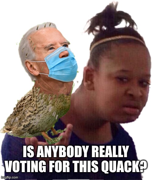 Biden The Hack | IS ANYBODY REALLY VOTING FOR THIS QUACK? | image tagged in quackhack | made w/ Imgflip meme maker