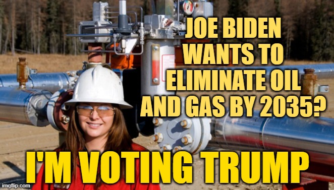 Biden lost Pennsylvania, Ohio, and Texas in the debate. | JOE BIDEN WANTS TO ELIMINATE OIL AND GAS BY 2035? I'M VOTING TRUMP | image tagged in election 2020,biden | made w/ Imgflip meme maker