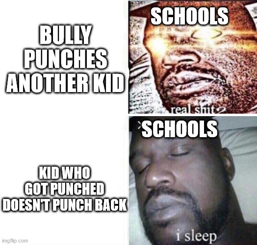 Keeping the sheep inline | SCHOOLS; BULLY PUNCHES ANOTHER KID; KID WHO GOT PUNCHED DOESN'T PUNCH BACK; SCHOOLS | image tagged in i sleep reverse,school,bullying,unhelpful teacher,teacher meme | made w/ Imgflip meme maker