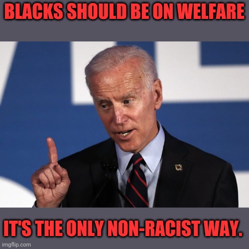 Biden The Non-Racist | BLACKS SHOULD BE ON WELFARE; IT'S THE ONLY NON-RACIST WAY. | image tagged in joe biden,racist,racism,drstrangmeme,conservatives | made w/ Imgflip meme maker