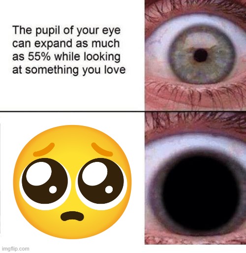 Warning: Cuteness Overload. OMG IT'S SO KAWAII AWW!!! | image tagged in expanding pupil,cute,cursed,emoji,aww,eye pupil expand | made w/ Imgflip meme maker