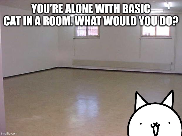 not empty room | YOU’RE ALONE WITH BASIC CAT IN A ROOM. WHAT WOULD YOU DO? | image tagged in empty room,funny,memes,oc | made w/ Imgflip meme maker