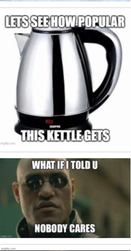 guys someone made 2 different memes and to me, its one big meme, perfect >:3 | image tagged in idk | made w/ Imgflip meme maker