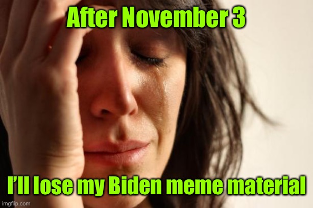 It’s a hard reality we are facing | After November 3; I’ll lose my Biden meme material | image tagged in memes,first world problems,joe biden,meme material,election day | made w/ Imgflip meme maker