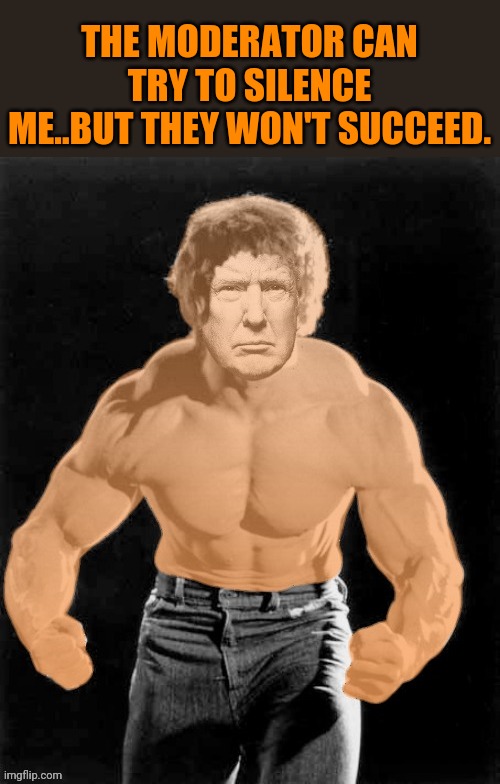 Hulk Trump | THE MODERATOR CAN TRY TO SILENCE ME..BUT THEY WON'T SUCCEED. | image tagged in hulk trump | made w/ Imgflip meme maker