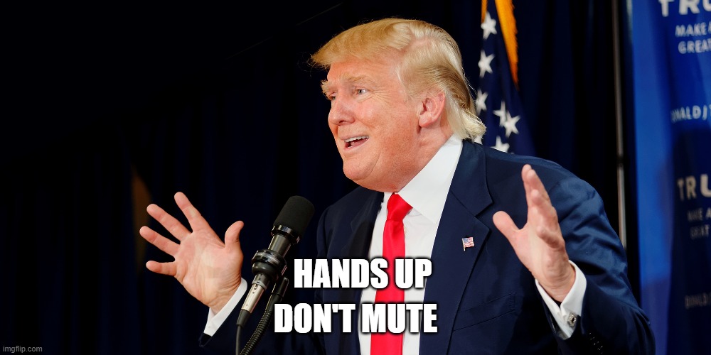 hands up don't mute | DON'T MUTE; HANDS UP | image tagged in trump,presidential debate | made w/ Imgflip meme maker