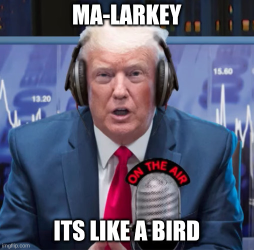 MA-LARKEY ITS LIKE A BIRD | made w/ Imgflip meme maker