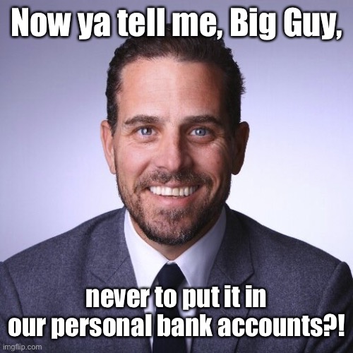 Hunter Biden | Now ya tell me, Big Guy, never to put it in our personal bank accounts?! | image tagged in hunter biden | made w/ Imgflip meme maker