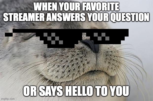 Satisfied Seal Meme | WHEN YOUR FAVORITE STREAMER ANSWERS YOUR QUESTION; OR SAYS HELLO TO YOU | image tagged in memes,satisfied seal | made w/ Imgflip meme maker