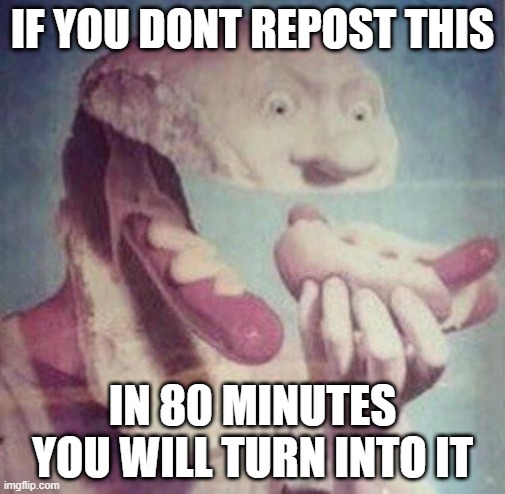 Repost this | IF YOU DONT REPOST THIS; IN 80 MINUTES YOU WILL TURN INTO IT | image tagged in hotdog,cursed image,repost | made w/ Imgflip meme maker