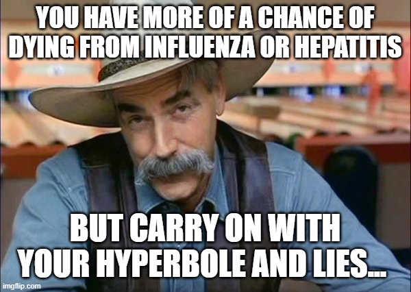 Sam Elliott special kind of stupid | YOU HAVE MORE OF A CHANCE OF DYING FROM INFLUENZA OR HEPATITIS BUT CARRY ON WITH YOUR HYPERBOLE AND LIES... | image tagged in sam elliott special kind of stupid | made w/ Imgflip meme maker