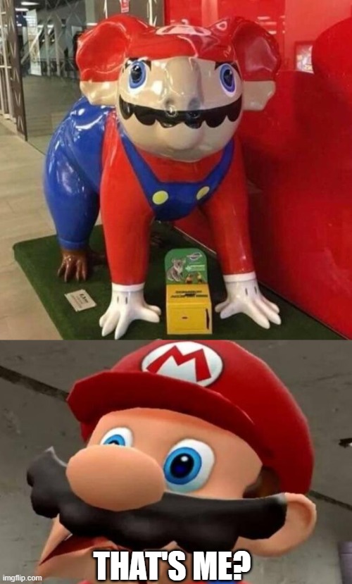 THAT'S ME? | image tagged in mario wtf | made w/ Imgflip meme maker