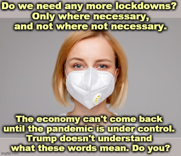 The mask isn't a political test. It's an intelligence test. | Do we need any more lockdowns? 
Only where necessary, and not where not necessary. The economy can't come back 
until the pandemic is under control. 
Trump doesn't understand 
what these words mean. Do you? | image tagged in an attractive girl making a smart decision a facemask,lockdown,facemask,pandemic,economy | made w/ Imgflip meme maker