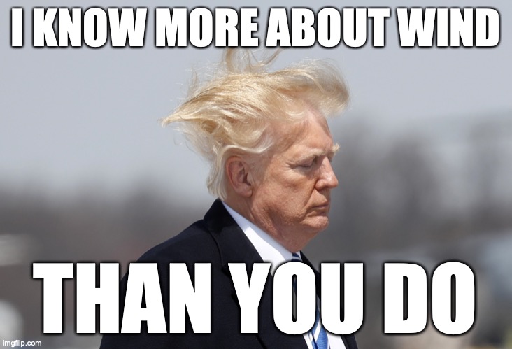 … the answer my friend is | I KNOW MORE ABOUT WIND; THAN YOU DO | image tagged in funny,political meme,political humor,donald trump,inspirational quote,dark humor | made w/ Imgflip meme maker