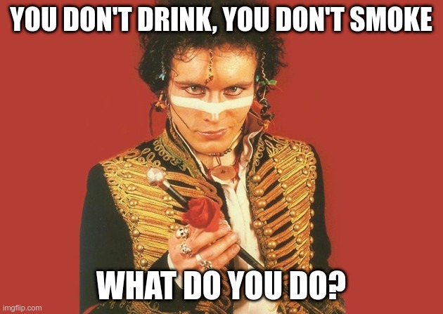 Everyone has a hobby - what's yours? | YOU DON'T DRINK, YOU DON'T SMOKE; WHAT DO YOU DO? | image tagged in adam ant rose | made w/ Imgflip meme maker