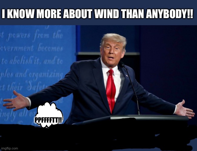 Old fart | I KNOW MORE ABOUT WIND THAN ANYBODY!! PPFFFFTT!! | image tagged in donald trump,fart,wind,debate | made w/ Imgflip meme maker
