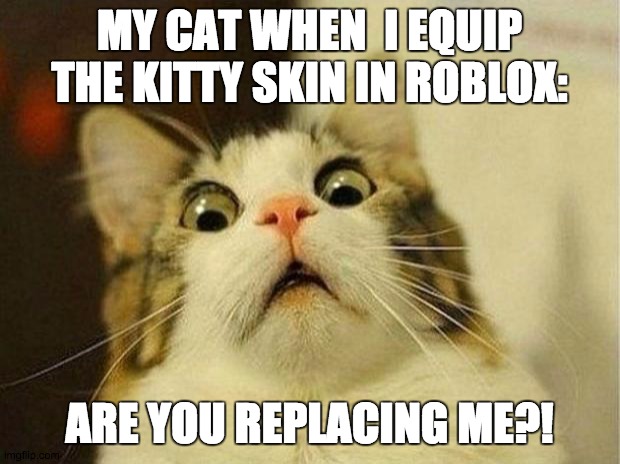 Scared Cat | MY CAT WHEN  I EQUIP THE KITTY SKIN IN ROBLOX:; ARE YOU REPLACING ME?! | image tagged in memes,scared cat | made w/ Imgflip meme maker