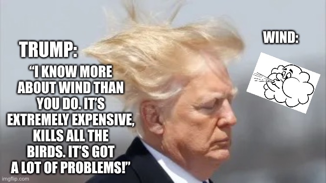 Trump Knows Wind | “I KNOW MORE ABOUT WIND THAN YOU DO. IT’S EXTREMELY EXPENSIVE, KILLS ALL THE BIRDS. IT’S GOT A LOT OF PROBLEMS!”; WIND:; TRUMP: | image tagged in trump knows wind,trump,debate,donald trump,wind,trump hair | made w/ Imgflip meme maker