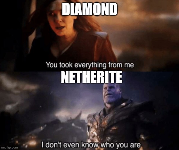 You took everything from me - I don't even know who you are |  DIAMOND; NETHERITE | image tagged in you took everything from me - i don't even know who you are | made w/ Imgflip meme maker