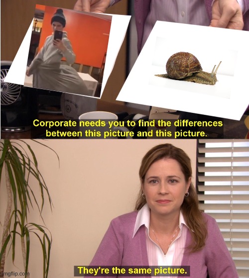 SNAILMAN | image tagged in memes,they're the same picture | made w/ Imgflip meme maker